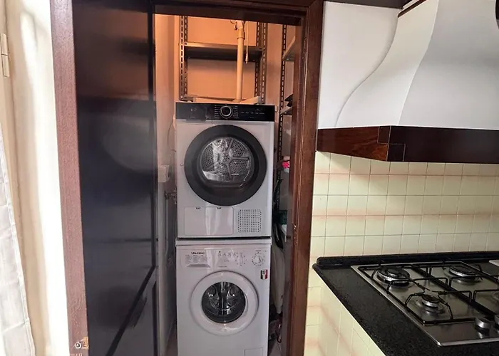 Lillabloom 下诺切拉