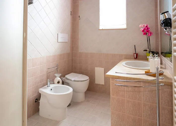 Lillabloom 下诺切拉