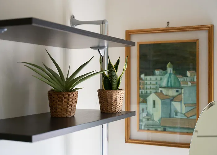 Lillabloom * 下诺切拉